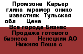 Промзона. Карьер глина, мрамор, оникс, известняк. Тульская обл.  › Цена ­ 250 000 000 - Все города Бизнес » Продажа готового бизнеса   . Ненецкий АО,Нижняя Пеша с.